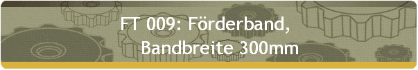 FT 009: Frderband,  
     Bandbreite 300mm
