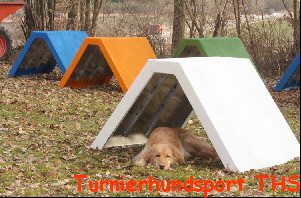 Turnierhundsport THS