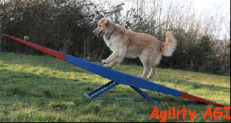 Agility AGI