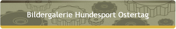 Bildergalerie Hundesport Ostertag