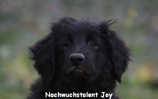 Nachwuchstalent Joy