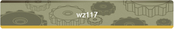 wz117