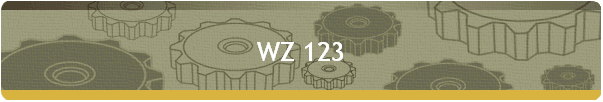 WZ 123